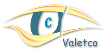 logo valetco web